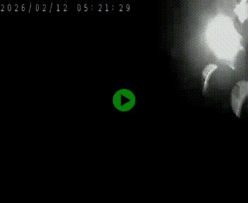 Clone of Caméra autoroute A75 à hauteur de la sortie 42 (Rodez, Laissac, Aire de l'Auvergne) située sur la commune d'Auberoques, près de Sévérac-le-Château