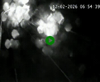 Caméra autoroute A75 à hauteur de la sortie 49 Le Caylar en direction de Montpellier