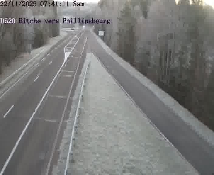 Webcam sur la D620, sur le contournement de Bitche. Vue orientée vers Philippsbourg