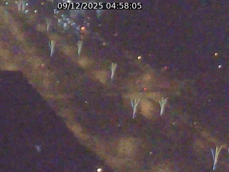 Webcam sur l'avenue John Fitzgerald Kennedy (N51) avec vue sur le Pont rouge (Pont Grande Duchesse Charlotte), l'arrêt Pfaffenthal et l'entrée du quartier Kirchberg