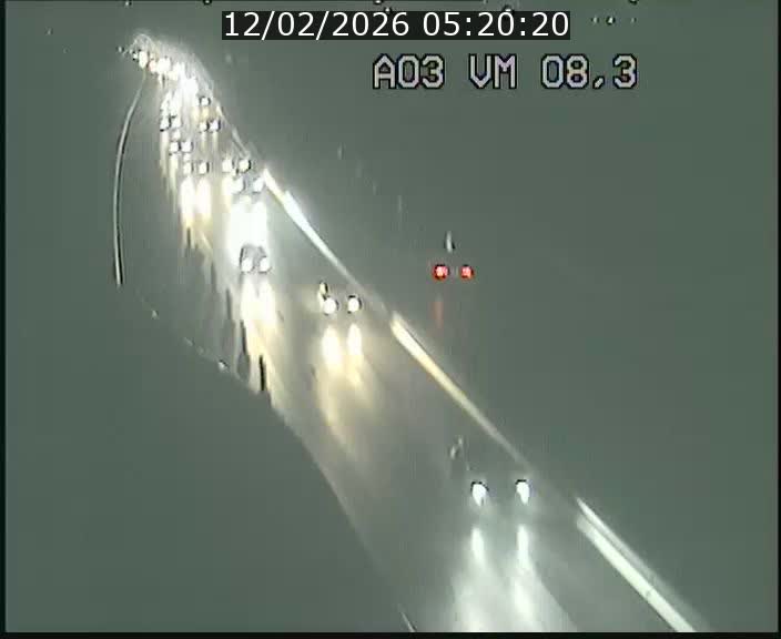 Traffic live webcam Luxembourg Bettembourg - A3 - BK 8.3 - direction France