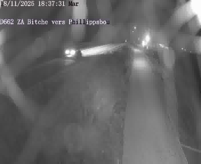 Caméra de trafic sur D662 (France) à Bitche, orientée vers Phillippsbourg, permettant d’évaluer fluidité, incidents et densité automobile.