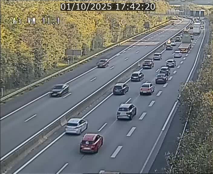 Webcam à la frontière franco-luxembourgeoise, avant la Croix de Bettembourg - BK 11.1 - direction Luxembourg-ville