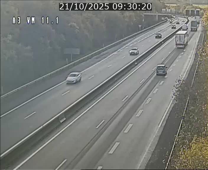 Webcam à la frontière franco-luxembourgeoise, avant la Croix de Bettembourg - BK 11.1 - direction Luxembourg-ville