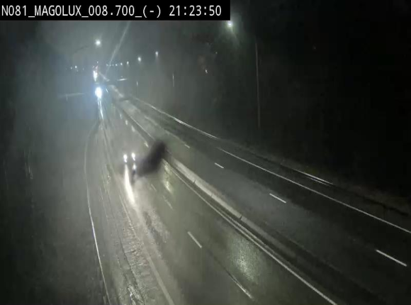 Webcam sur la N81 (E411) à hauteur de la jonction avec la N883. Vue orientée vers Arlon