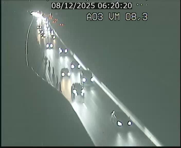 Traffic live webcam Luxembourg Bettembourg - A3 - BK 8.3 - direction France