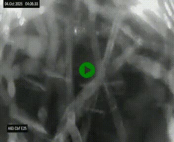 Webcam autoroute A63 en périphérie de Bordeaux au sud-est de la ville, en provenance du bassin d'Arcachon. Vue orientée vers Bordeaux