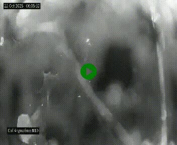 Webcam routière à la fin de la N10, en périphérique ouest d'Angouleme, proche de la jonction avec l'A10
