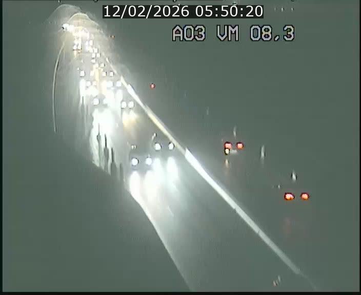 Traffic live webcam Luxembourg Bettembourg - A3 - BK 8.3 - direction France