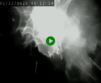 Caméra autoroute A75 à hauteur de Le Crest, en direction de Montpellier