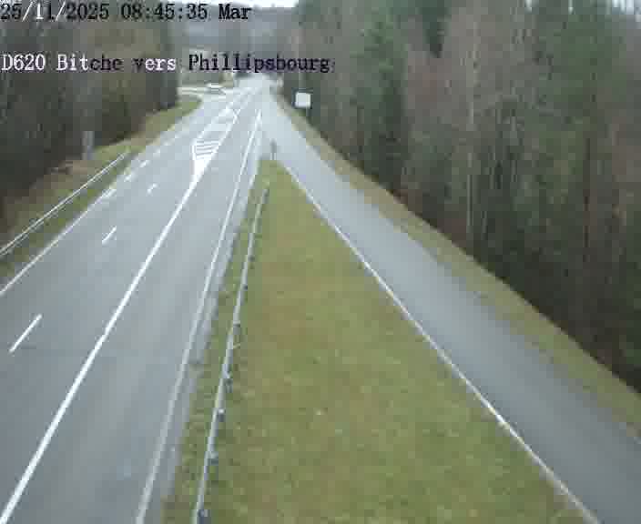 Webcam sur la D620, sur le contournement de Bitche. Vue orientée vers Philippsbourg