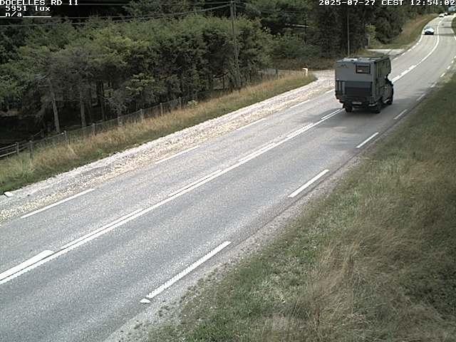 Webcam à 424 mètres d'altitude dans la Tranchée de Docelles dans les Vosges, à proximité d'Epinal sur la route de Gerardmer (D11)