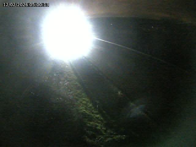 Webcam route sur la N59 à Flavigny-sur-Moselle à proximité de Nancy vers Epinal