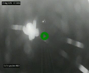 Webcam routière à la fin de la N10, en périphérique ouest d'Angouleme, proche de la jonction avec l'A10