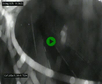 Webcam dans les Pyrénées Atlantique au niveau du col d'Urdos et du fort du Pourtalet sur la N134, en direction du Col et du tunnel du Somport, à 765 mètres d'altitude