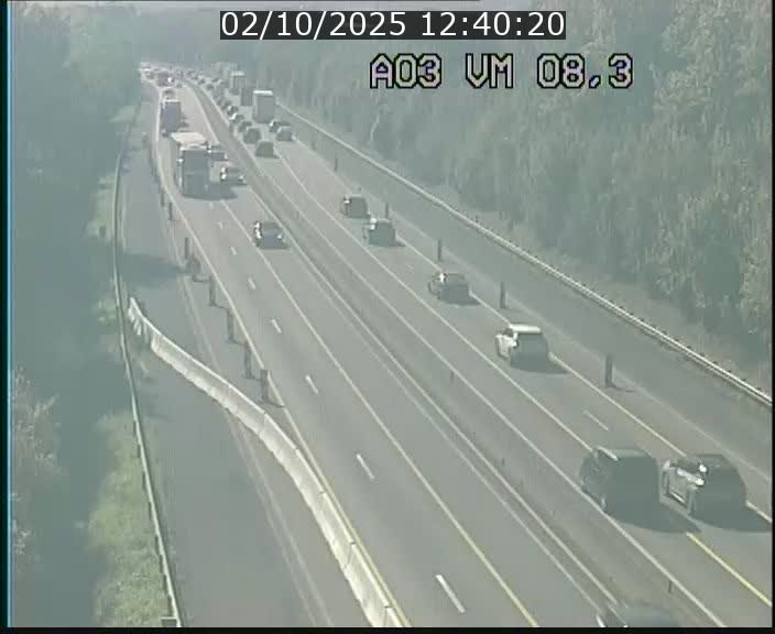 Traffic live webcam Luxembourg Bettembourg - A3 - BK 8.3 - direction France
