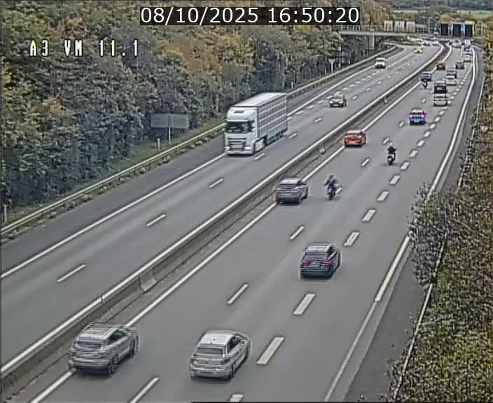 Webcam à la frontière franco-luxembourgeoise, avant la Croix de Bettembourg - BK 11.1 - direction Luxembourg-ville