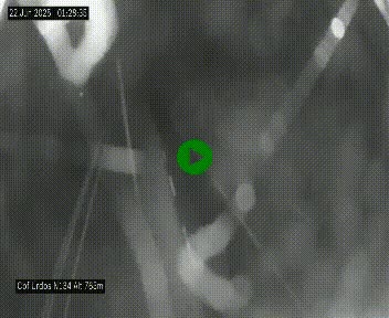 Webcam dans les Pyrénées Atlantique au niveau du col d'Urdos et du fort du Pourtalet sur la N134, en direction du Col et du tunnel du Somport, à 765 mètres d'altitude
