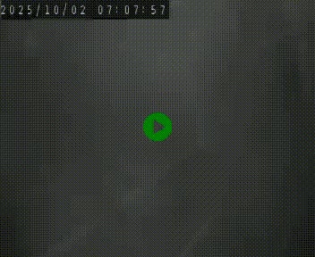 Webcam routière au niveau du col de la Chavade en Ardèche, sur la N102 à 1266 mètres d'altitude