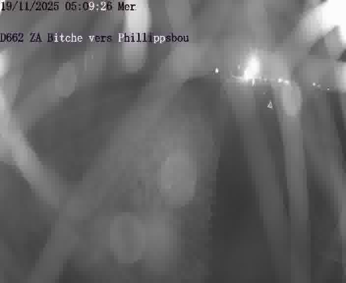 Caméra de trafic sur D662 (France) à Bitche, orientée vers Phillippsbourg, permettant d’évaluer fluidité, incidents et densité automobile.