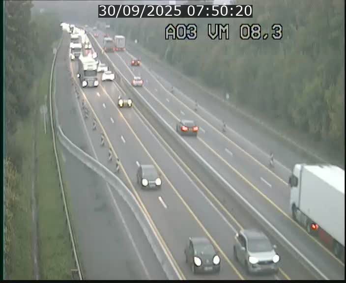 Traffic live webcam Luxembourg Bettembourg - A3 - BK 8.3 - direction France