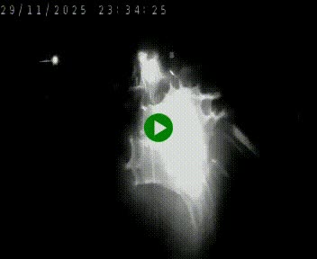 Caméra autoroute A75 à hauteur de Le Crest, en direction de Montpellier