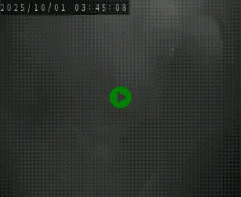Webcam routière au niveau du col de la Chavade en Ardèche, sur la N102 à 1266 mètres d'altitude