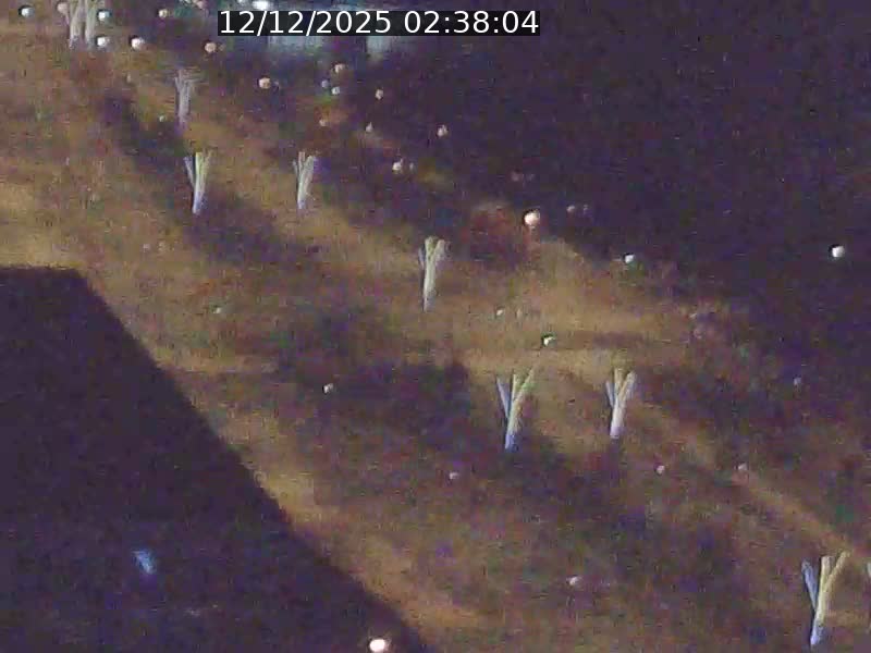 Webcam sur l'avenue John Fitzgerald Kennedy (N51) avec vue sur le Pont rouge (Pont Grande Duchesse Charlotte), l'arrêt Pfaffenthal et l'entrée du quartier Kirchberg