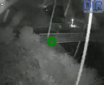 Webcam sur A84 à hauteur de Pont-Farcy, au niveau du pont autoroutier sur la Vire, au sud de Saint-Lô