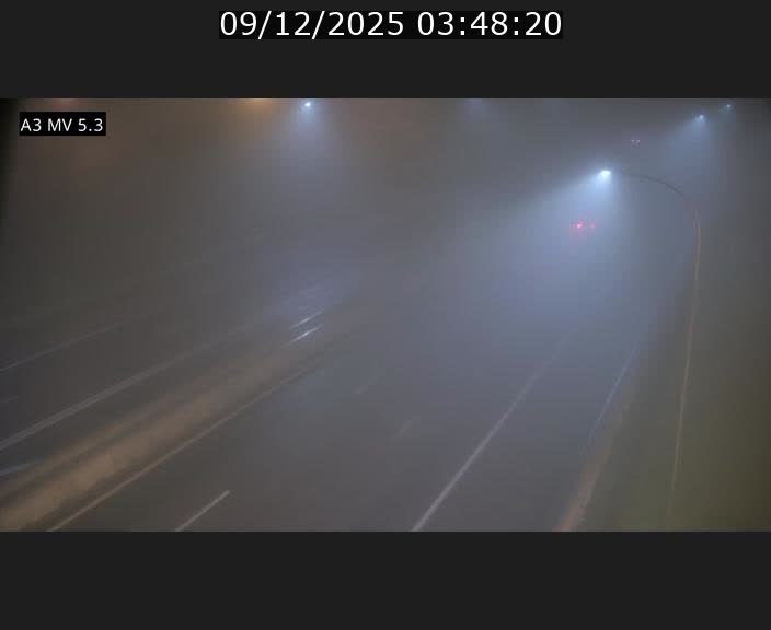 Webcam à l'Aire de Berchem au Luxembourg sur l'A3. Vue orientée vers la France