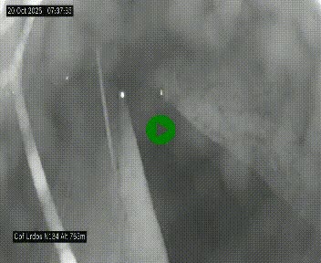 Webcam dans les Pyrénées Atlantique au niveau du col d'Urdos et du fort du Pourtalet sur la N134, en direction du Col et du tunnel du Somport, à 765 mètres d'altitude