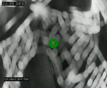 Webcam dans les Pyrénées Atlantique au niveau du col d'Urdos et du fort du Pourtalet sur la N134, en direction du Col et du tunnel du Somport, à 765 mètres d'altitude