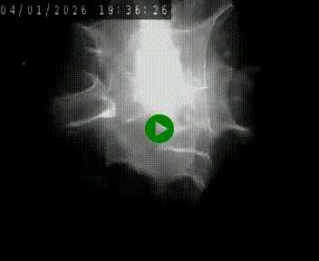 Caméra autoroute A75 à hauteur de Le Crest, en direction de Montpellier