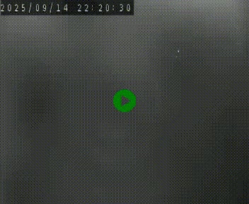 Webcam routière au niveau du col de la Chavade en Ardèche, sur la N102 à 1266 mètres d'altitude