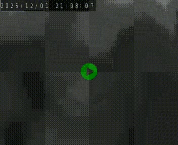 Webcam routière au niveau du col de la Chavade en Ardèche, sur la N102 à 1266 mètres d'altitude