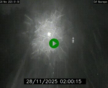 Webcam sur le périphérique de Rennes (N136) à hauteur de Maurepas, au nord de la ville