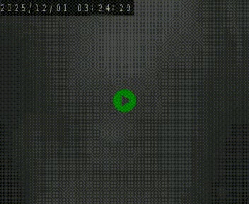 Webcam routière au niveau du col de la Chavade en Ardèche, sur la N102 à 1266 mètres d'altitude