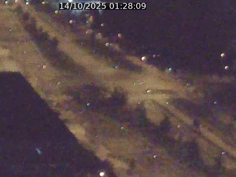Webcam sur l'avenue John Fitzgerald Kennedy (N51) avec vue sur le Pont rouge (Pont Grande Duchesse Charlotte), l'arrêt Pfaffenthal et l'entrée du quartier Kirchberg