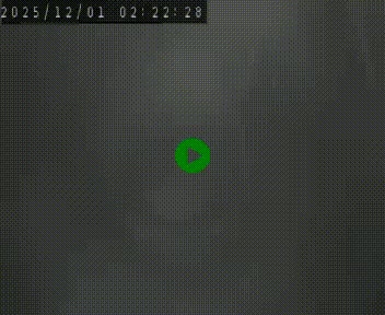 Webcam routière au niveau du col de la Chavade en Ardèche, sur la N102 à 1266 mètres d'altitude