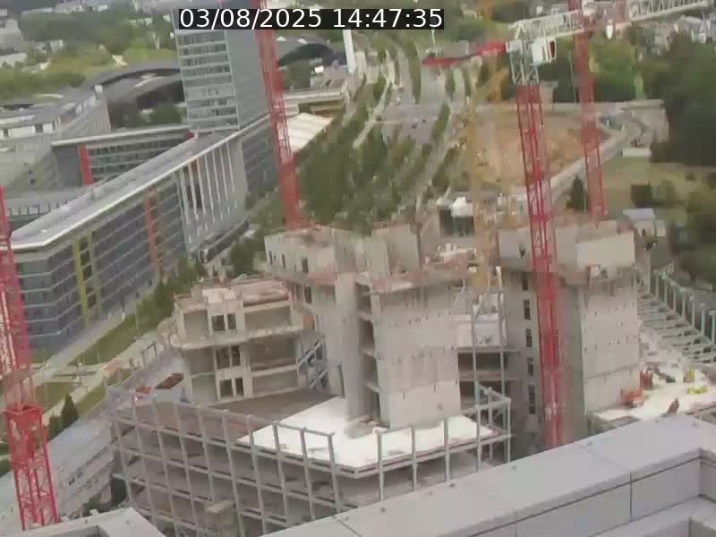 Webcam sur l'avenue John Fitzgerald Kennedy (N51) avec vue orientée vers le Findel