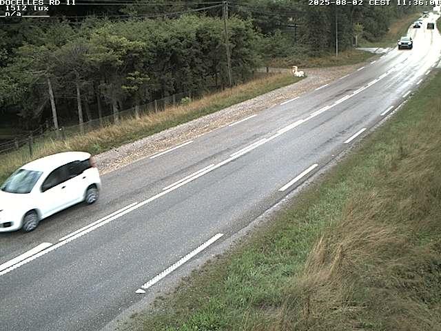 Webcam à 424 mètres d'altitude dans la Tranchée de Docelles dans les Vosges, à proximité d'Epinal sur la route de Gerardmer (D11)