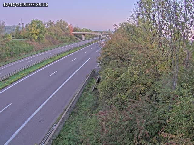 Caméra autoroute France - A31, Kanfen direction Luxembourg
