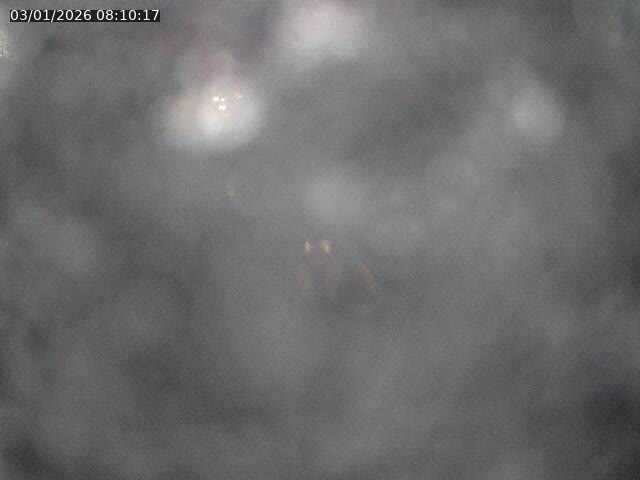 Caméra autoroute France - A31, Maxéville direction Paris