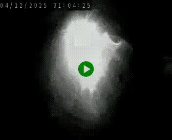 Caméra autoroute A75 à hauteur de Le Crest, en direction de Montpellier