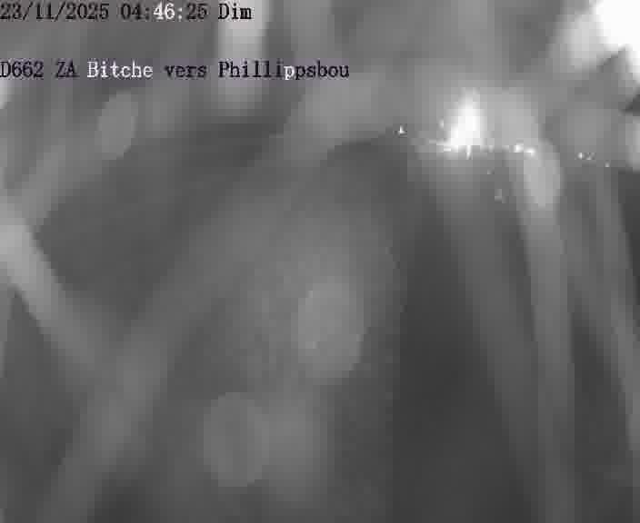 Caméra de trafic sur D662 (France) à Bitche, orientée vers Phillippsbourg, permettant d’évaluer fluidité, incidents et densité automobile.