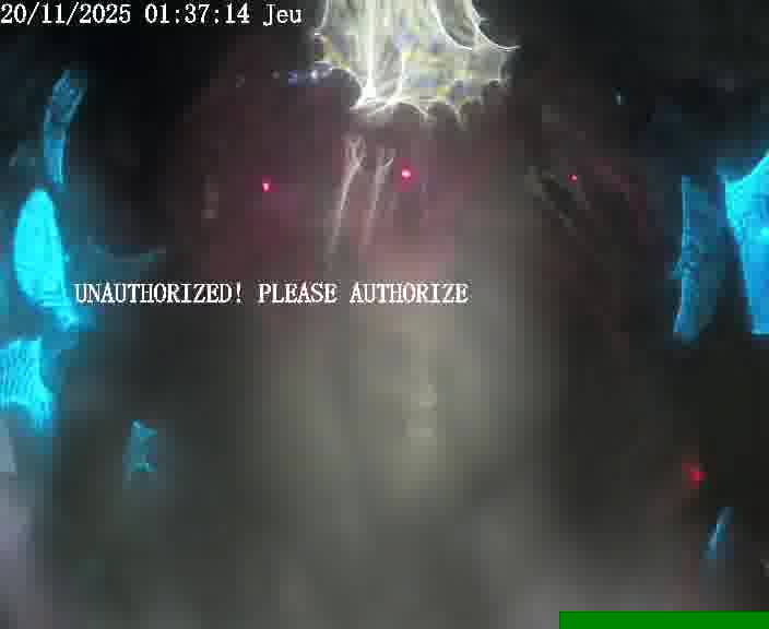 Webcam installée le long de D1 (France) à Ennery, pointée vers Metz, utile pour suivre précisément les conditions de trafic.